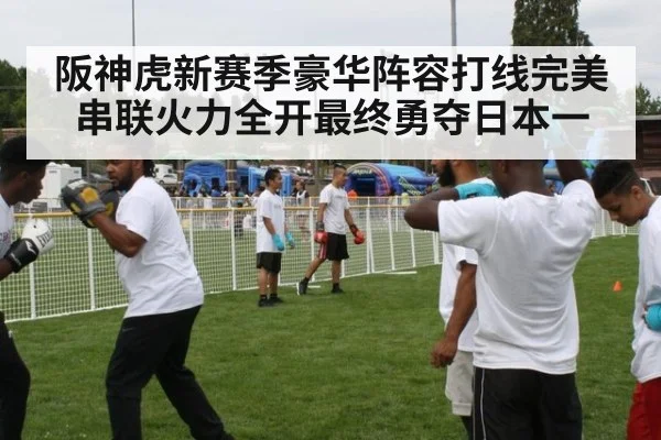 阪神虎新赛季豪华阵容打线完美串联火力全开最终勇夺日本一